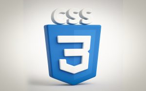 What is css